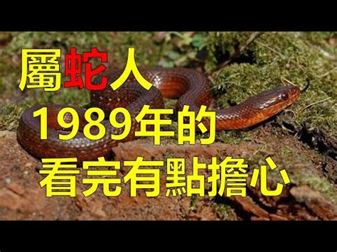 1989 屬蛇|【1989蛇】《1989年蛇寶寶大解密：五行屬性、天乙貴人全攻略。